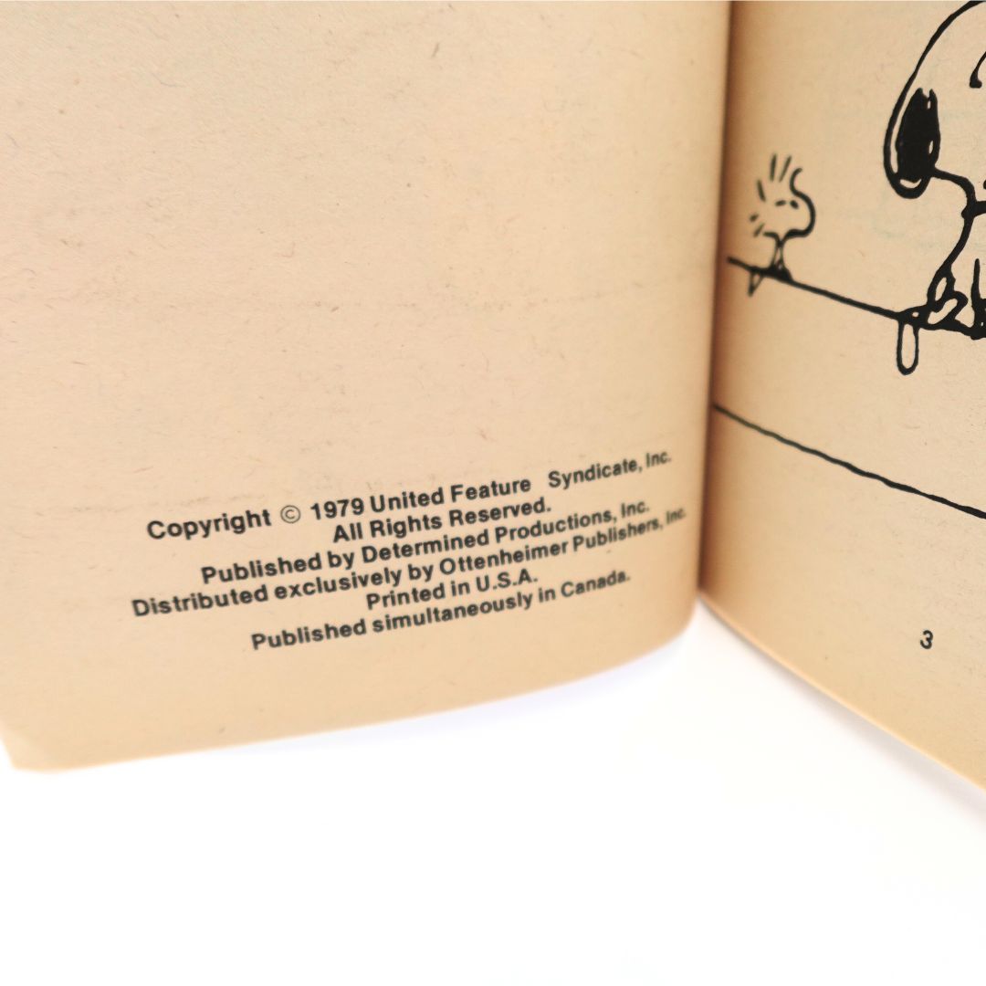 1979 The Charlie Brown Ghostly Word Puzzle Book