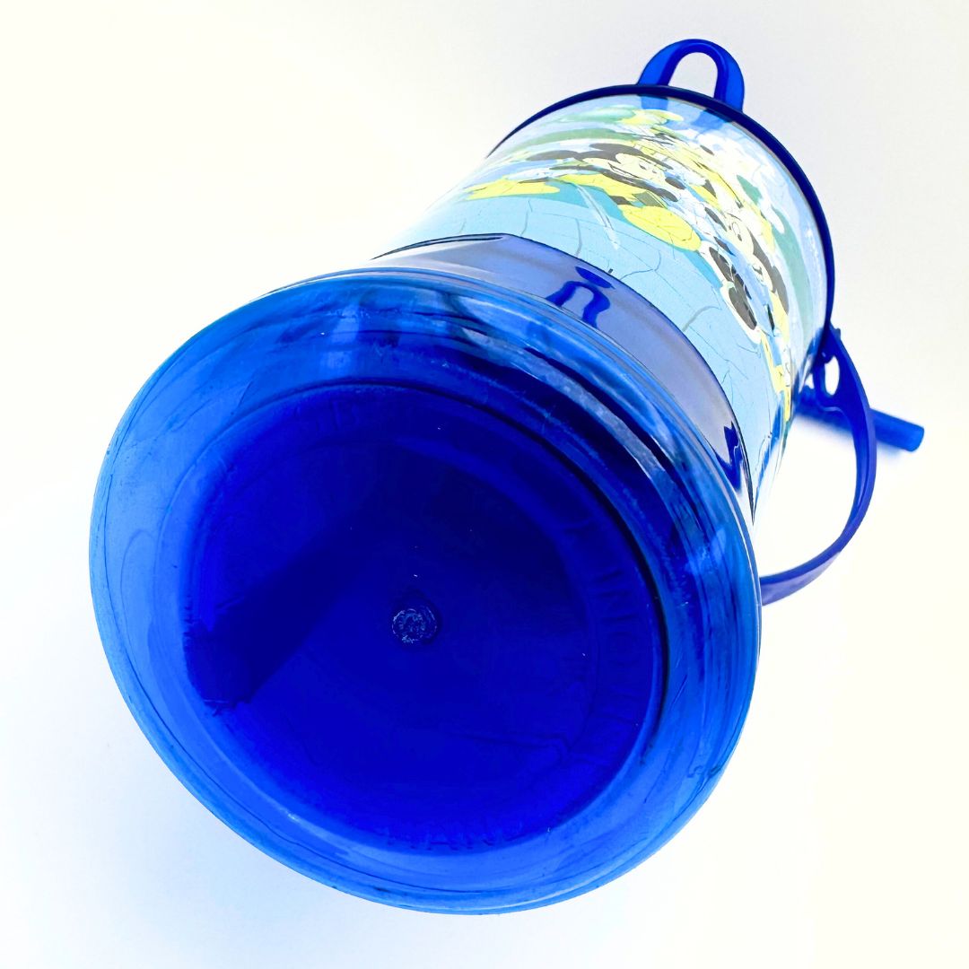 Blue Disneyland Paris Tumbler