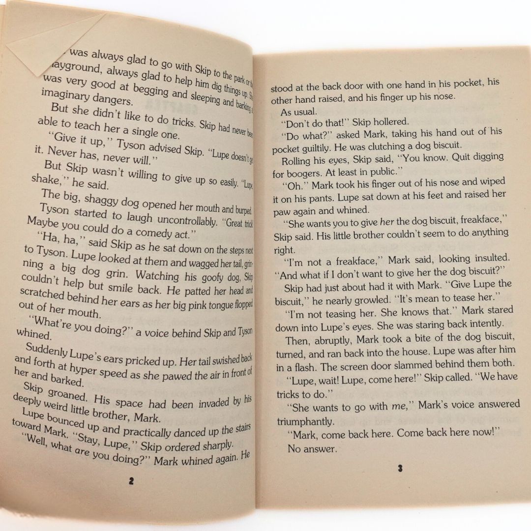 1995 Graveyard School Little Pet Werewolf by Tom B. Stone