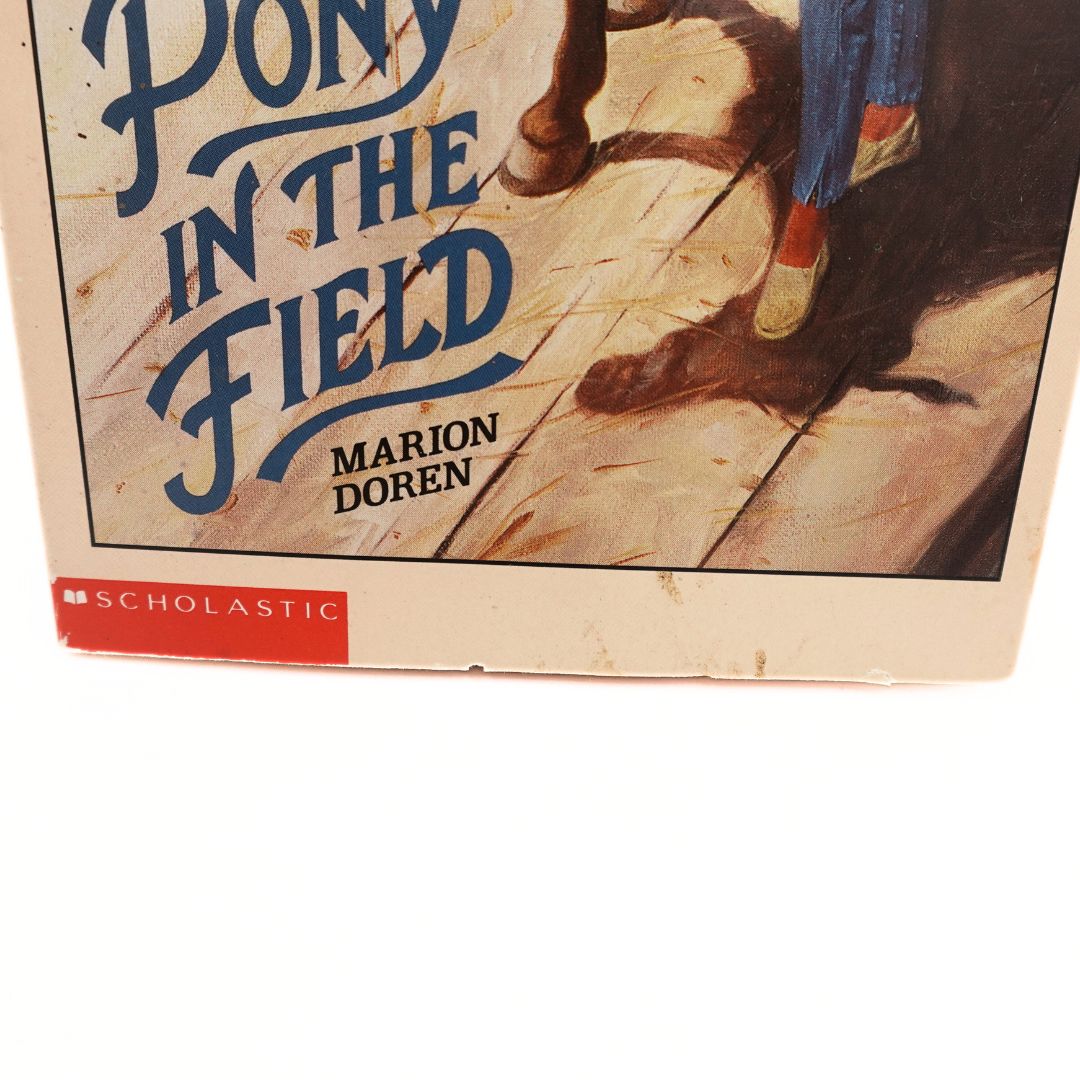 1991 A Pony in the Field by Marion Doren