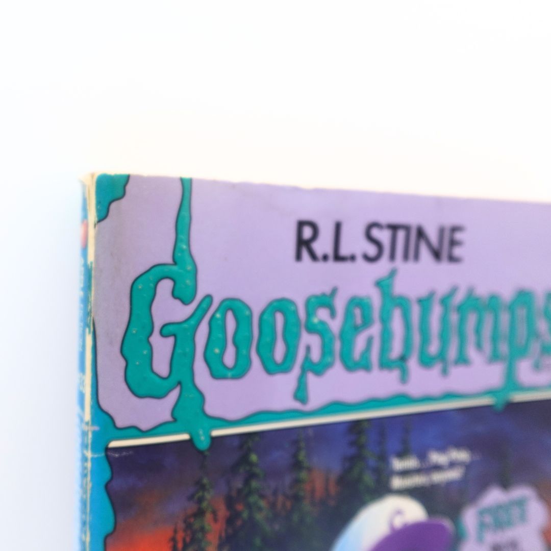 1995 Goosebumps Horror at Camp Jellyjam