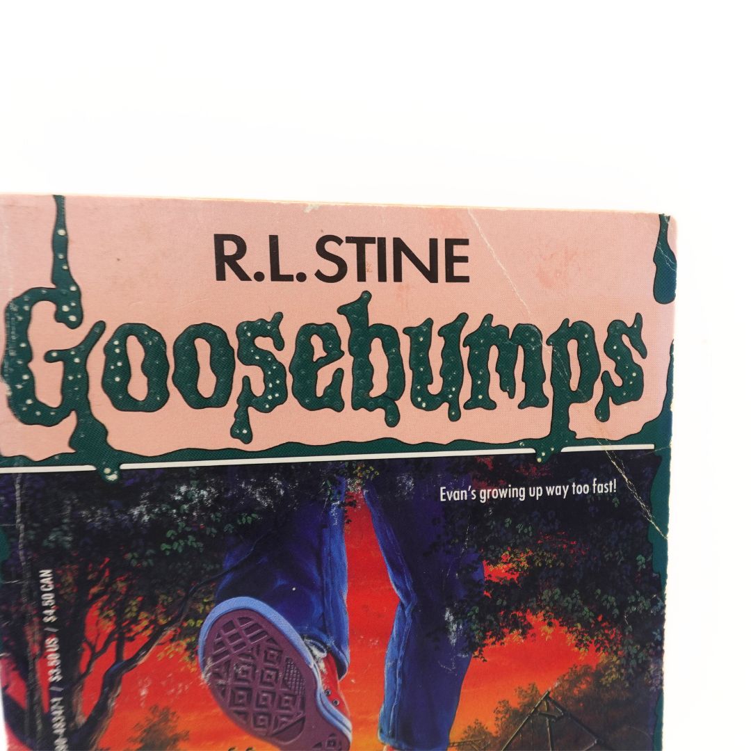 1995 1st Scholastic Printing Goosebumps Monster Blood III