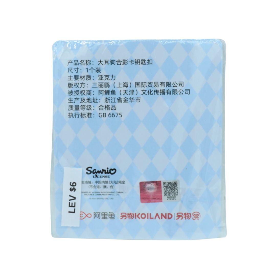 Blue and yellow clear frame charm in packaging on a white background
