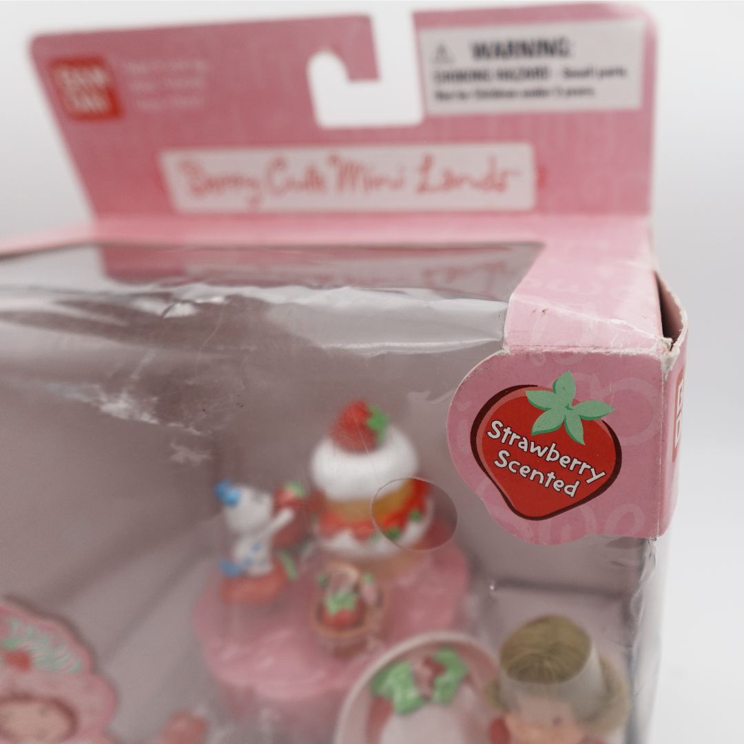 Corner wear on the 2003 Bandai Strawberry Shortcake Cake Decorating playset packaging