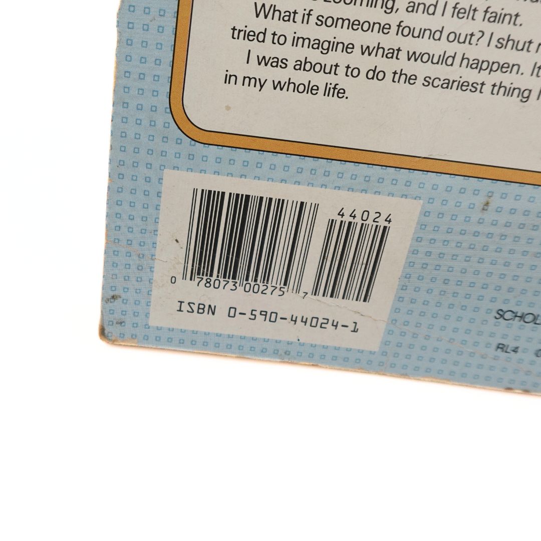 ISBN and barcode details on the Dear Diary The Lie back cover