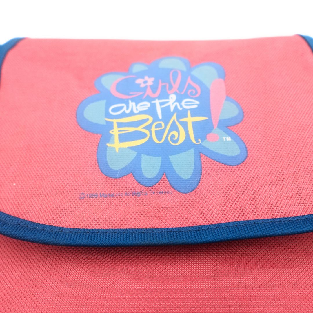 Close up of the floral decal on a 1999 Barbie satchel bag with a pink and blue colour palette