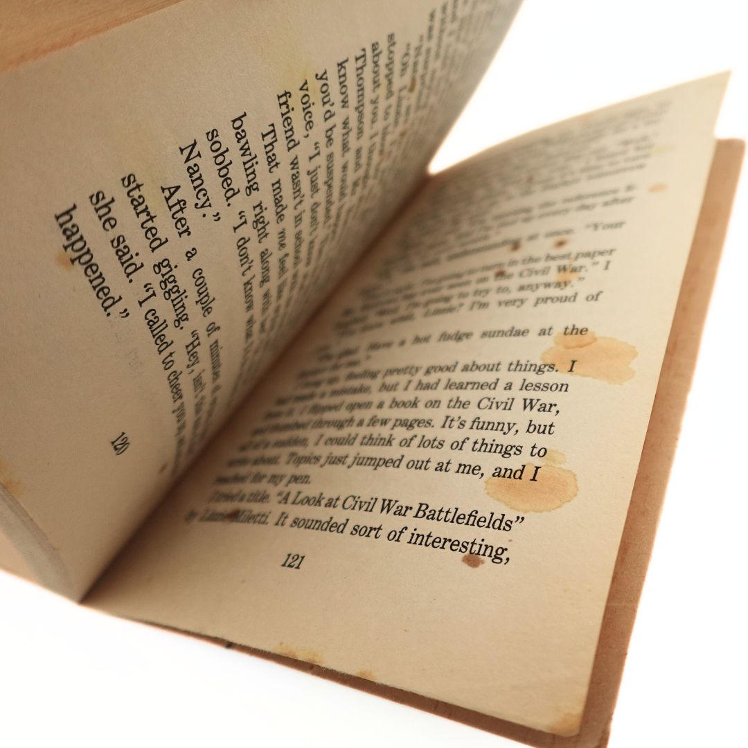 Internal pages with staining in the book The Lie
