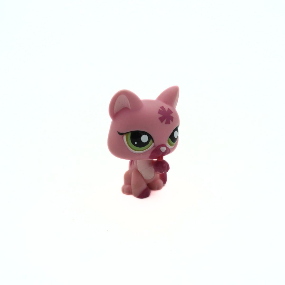 Pink toy cat figure with a star on its forehead against a white background