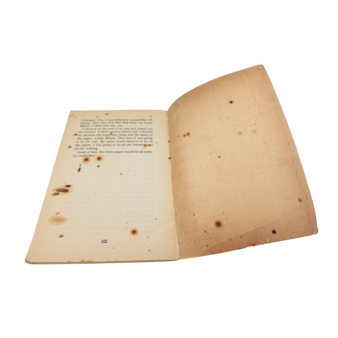 Staining to the internal back cover of the Dear Diary The Lie book