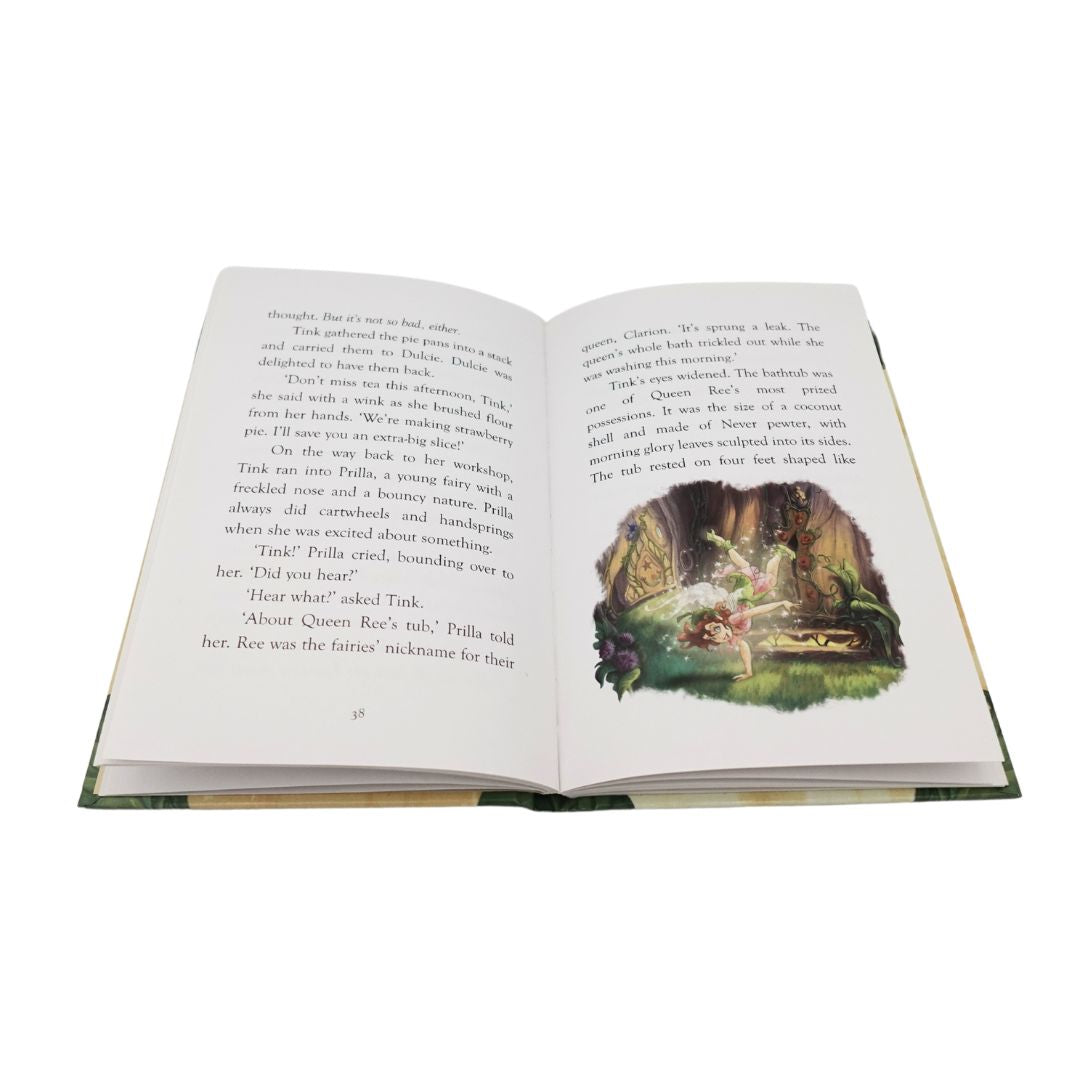 Pages 38 and 39 in the Disney Fairies book The Trouble With Tink showing the illustration style of the book