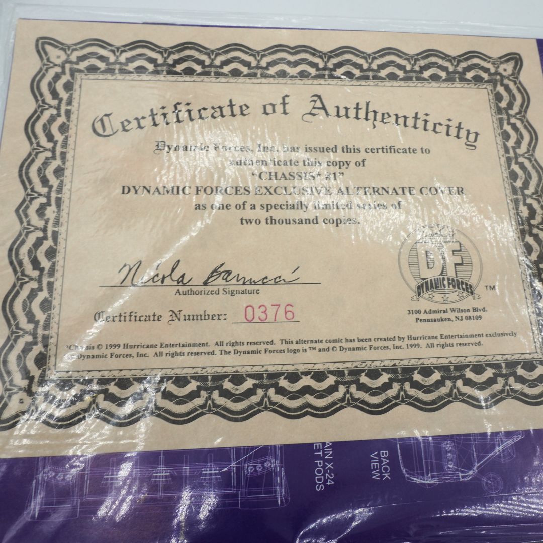 Certificate of Authenticity with decorative border and text on a clear background