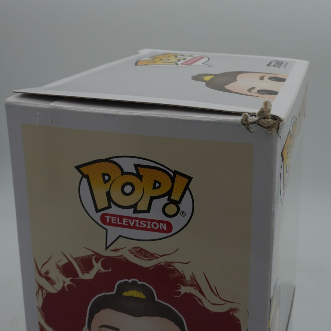 Box with 'Pop! Television' branding featuring cartoon characters on a gray background