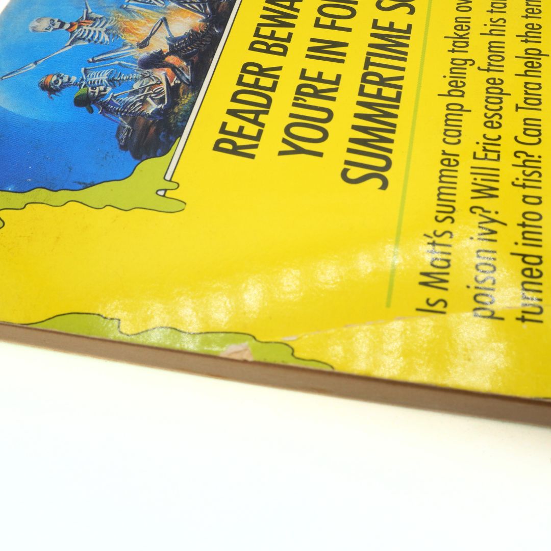 Book cover with a yellow background and text, featuring a cartoon character and text about summer camp.