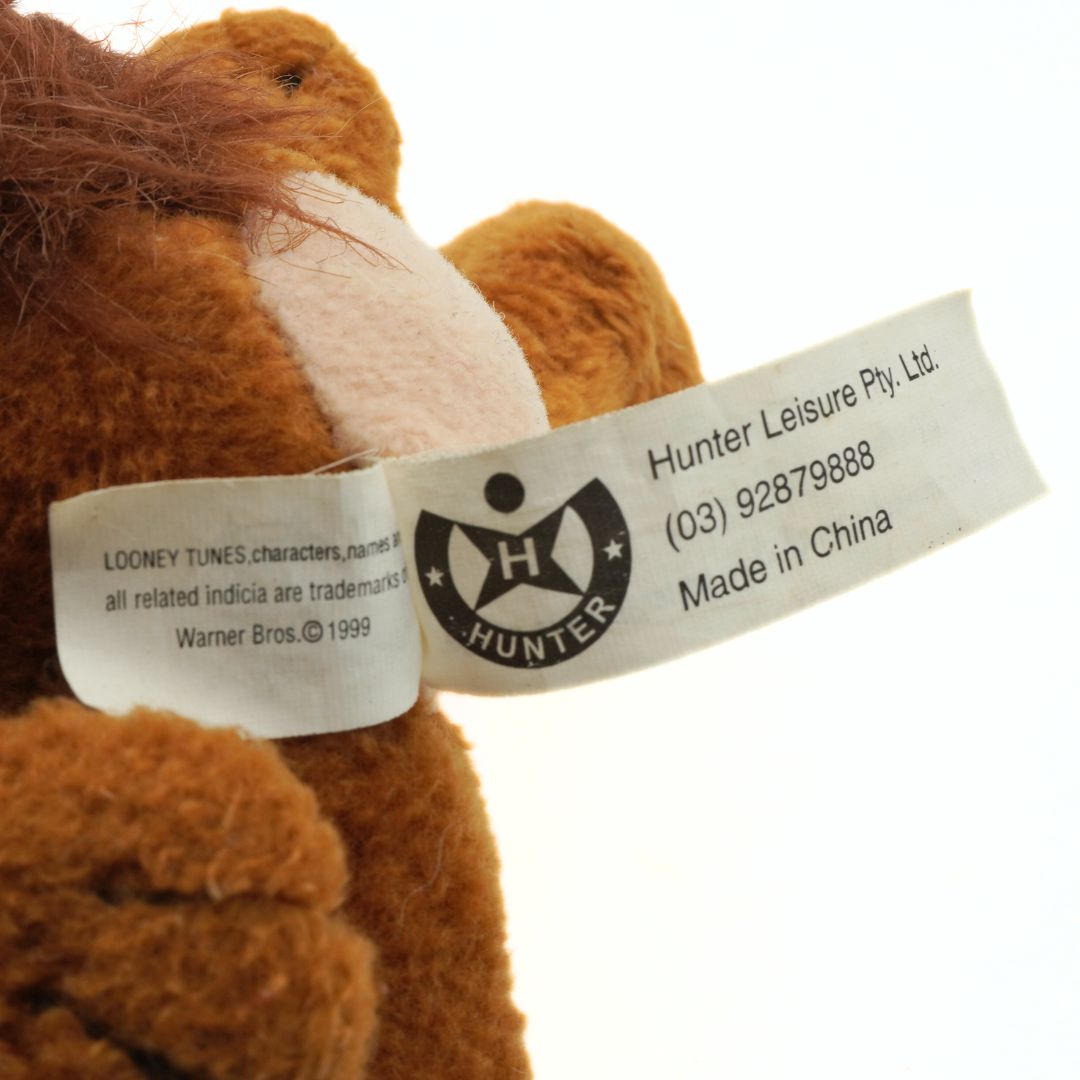 Close-up of a brown teddy bear with a visible label on a white background