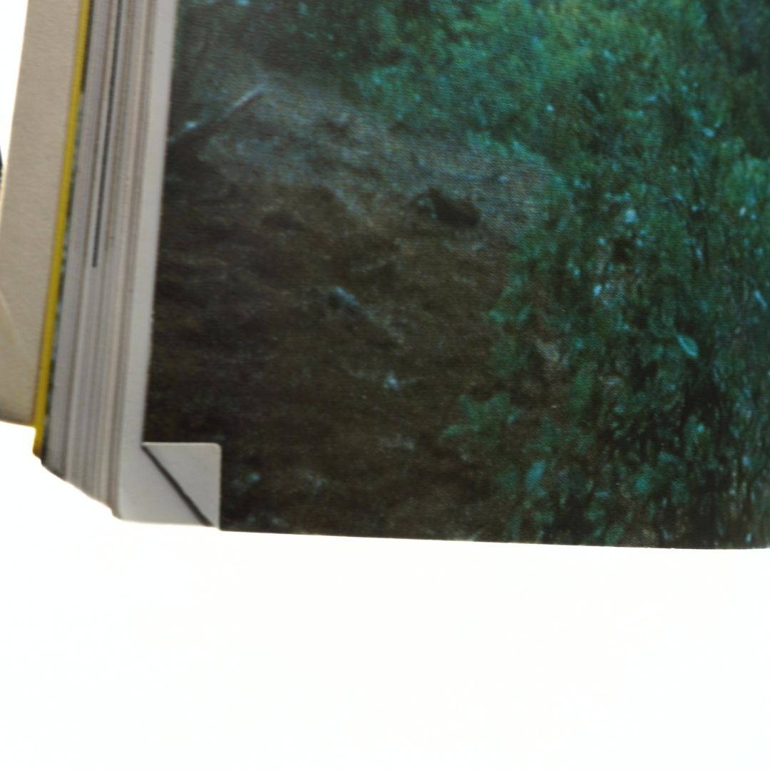 Close-up of a book with a textured green cover