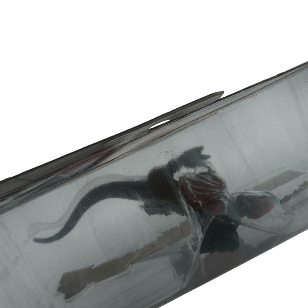 Metallic foil with reflective surface on a white background