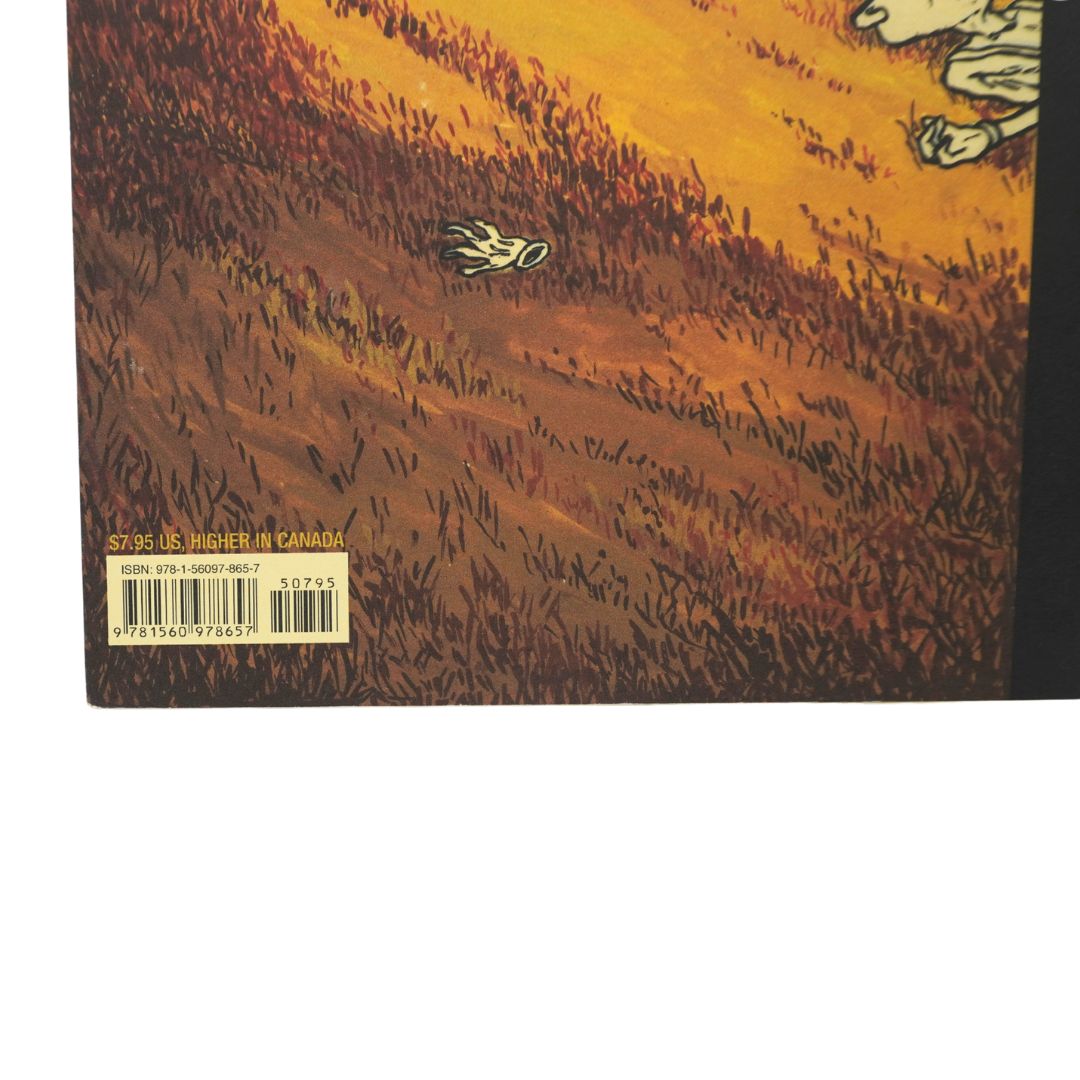 Close-up of the illustrated back cover of a book, showing a warm-toned landscape scene with a figure lying in a field under an orange sky, plus a barcode label near the lower left.