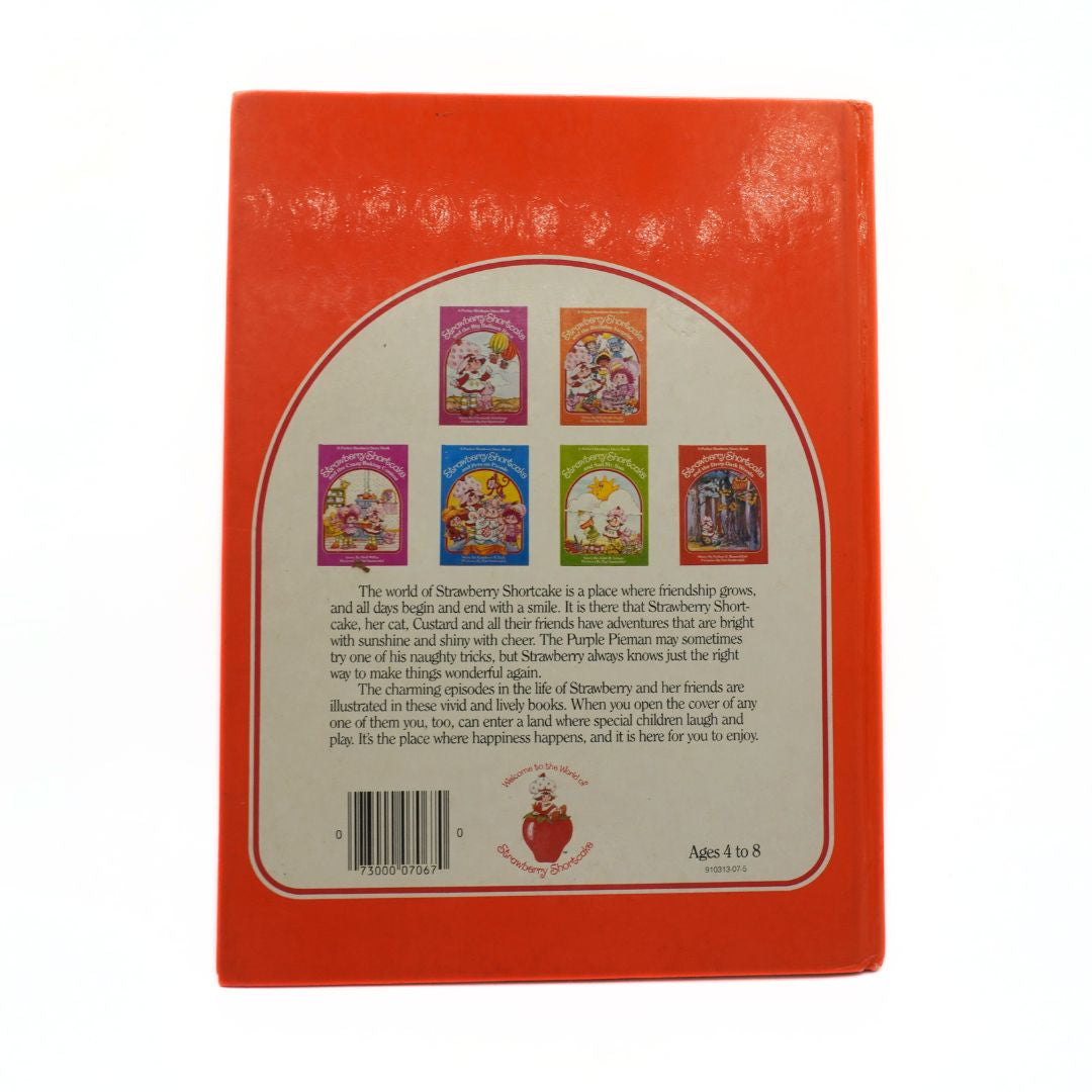Back cover of a book with colorful illustrations and text on a white background