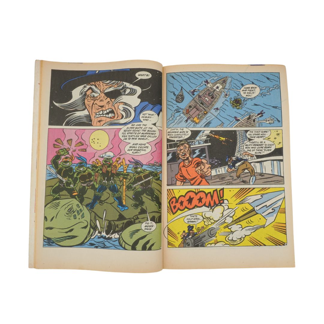 Internal full colour page of a vintage 90s Teenage Mutant Ninja Turtles comic